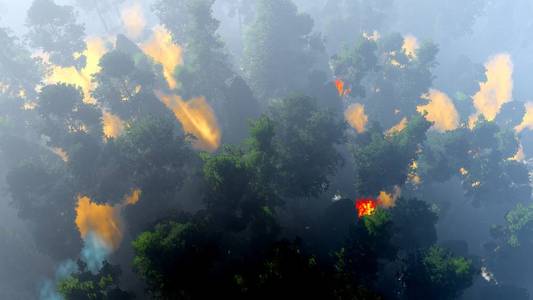 灾难与火在森林 3d 渲染