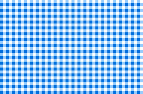 产品显示和野餐的概念花纹野餐桌布矢量野餐桌布