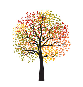 秋天一棵树与落叶