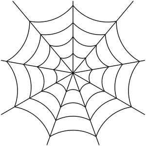 蜘蛛网图片