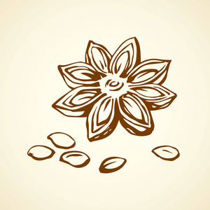 八角图作法图片-八角图作法素材-八角图作法插画-摄图新视界