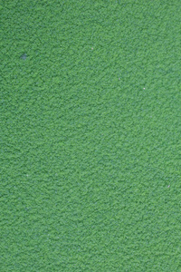 背景纹理的顶视图绿色苔藓