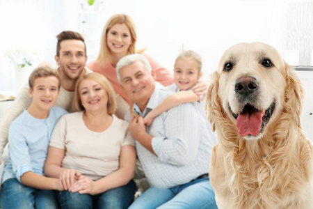 狗和幸福的家庭背景
