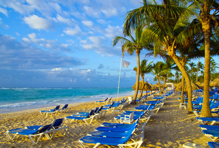 加勒比岛国巴巴多斯底湾富绿植物区