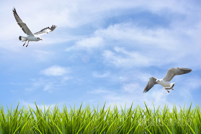 限制暂无图片作者zephyr18新媒体授权标准授权扩展授权如何选择jpg大