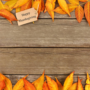 快乐感恩节礼物标签与双边框的秋天叶子在木头上