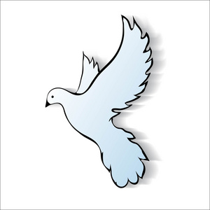 象征和平的鸽子