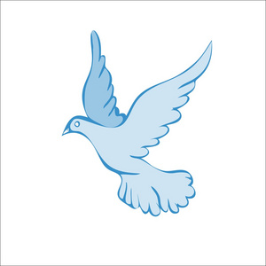 象征和平的鸽子照片