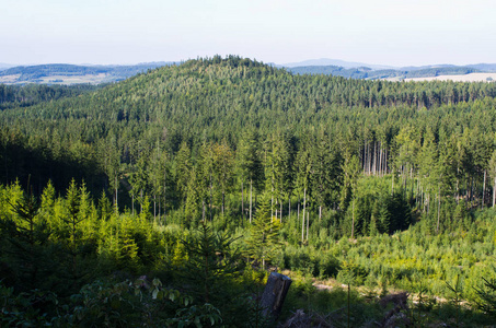 小山和森林