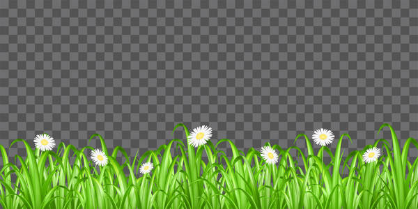 草和花透明背景矢量