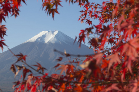 秋天的时候，日本的富士山