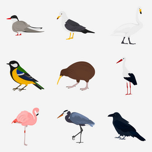 针对 web 和移动设计不同的鸟类颜色平面图标一套