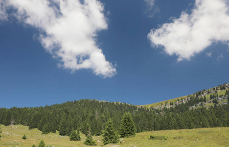 绿绿的草原和山区夏季山全景