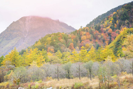 日本秋季 Kamikochi 国家公园景观自然观