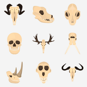 设置的海曼和动物头骨颜色平面图标，用于 web 和移动设计