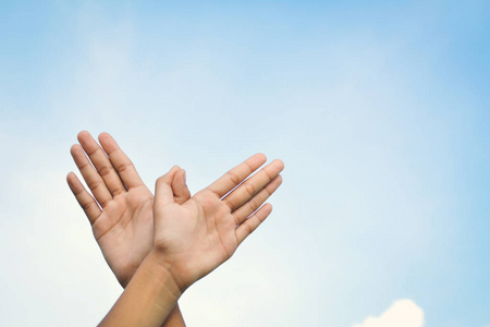 风筝飞上天空图片