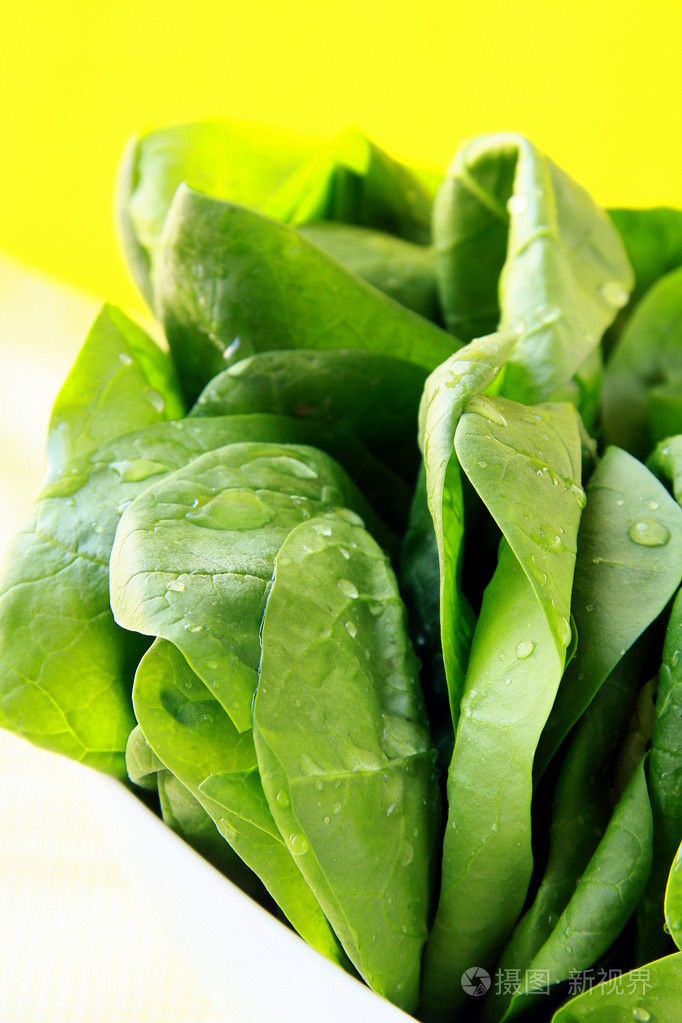 绿色新鲜菠菜照片-正版商用图片0c9rrp-摄图新视界