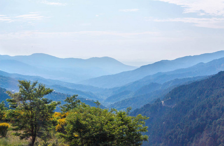 美丽的绿色森林山区海上日落