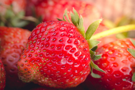 新鲜的草莓浆果