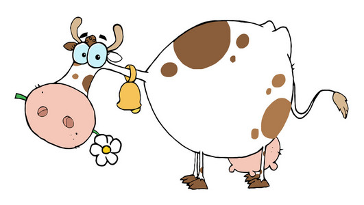 斑点的农场牛吃一朵花