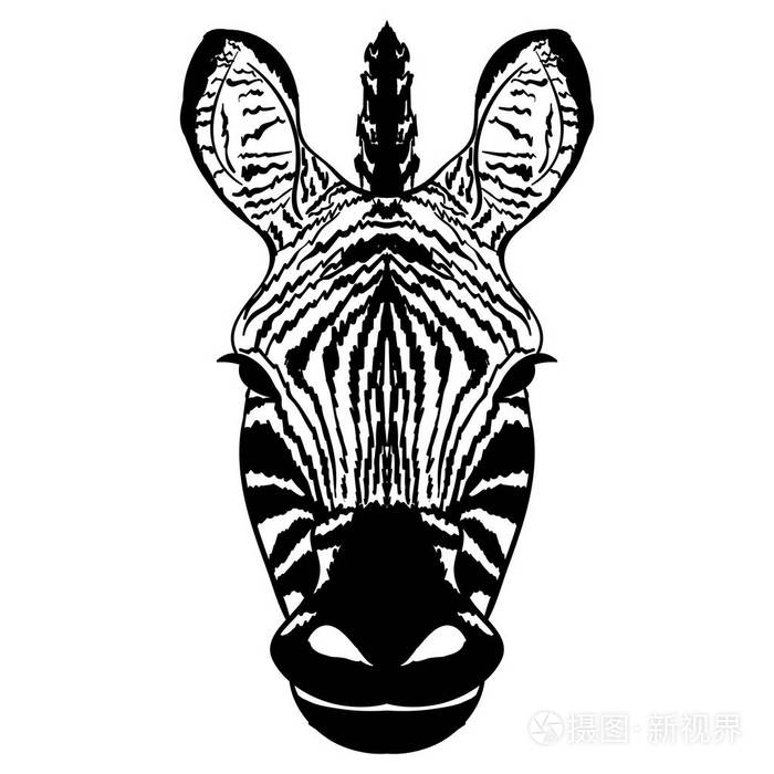 孤立的条纹斑马头素描