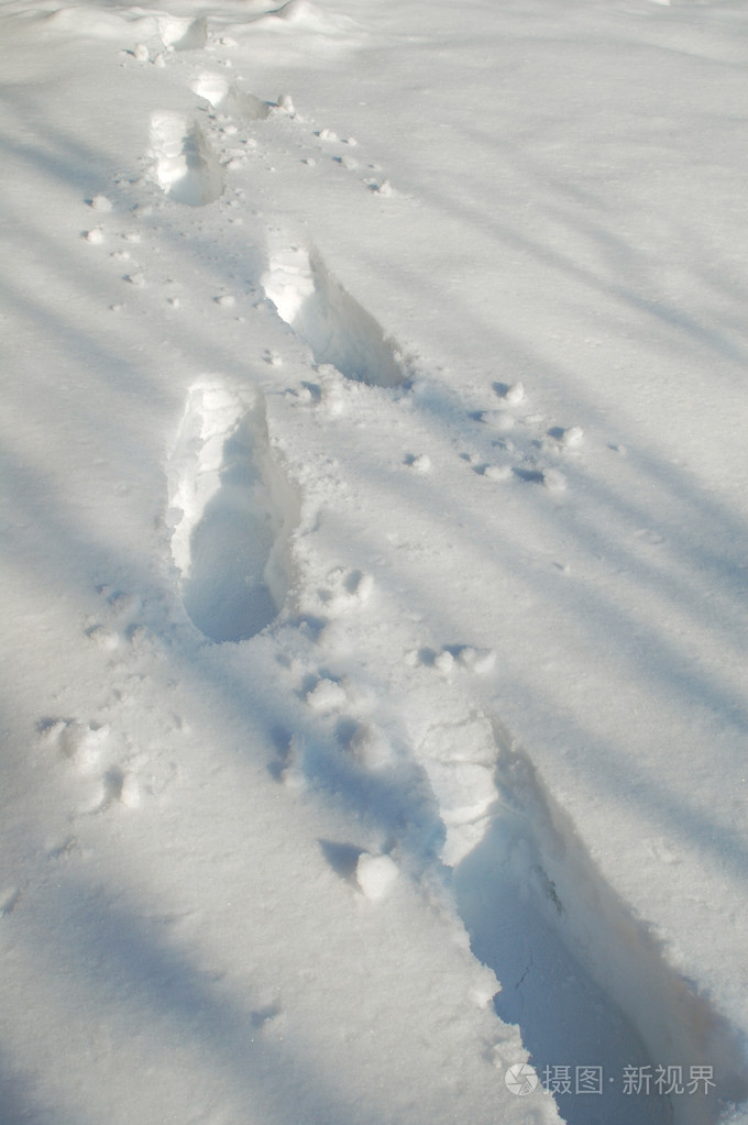 获奖雪景脚印图片图片