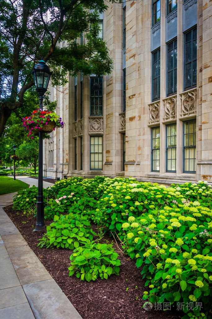 在大学学习的大教堂外的花园