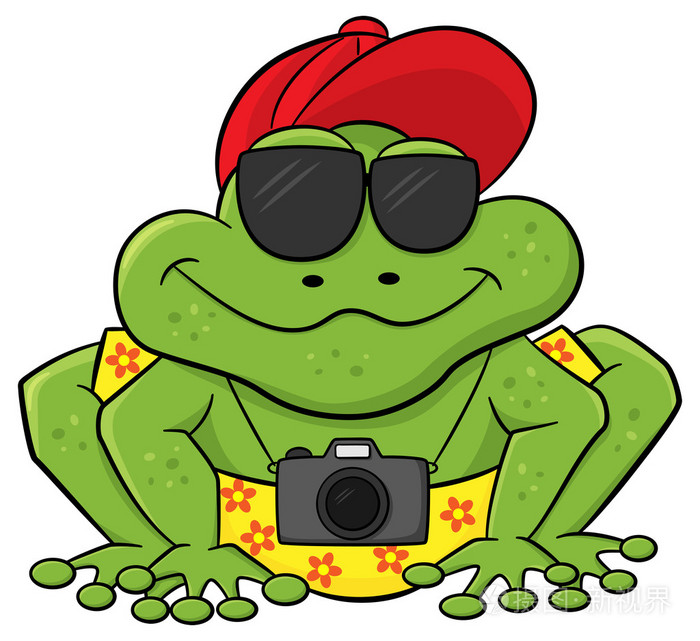 作为一个旅游带照相机和太阳镜的青蛙