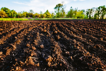 黑土犁过的田野.地球纹理照片