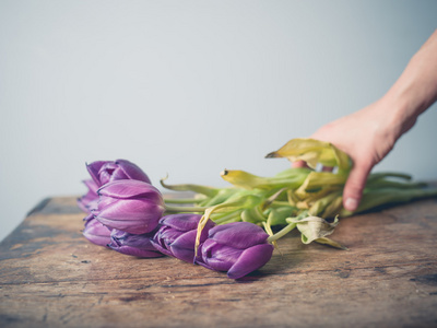 手拿起死去的鲜花从表图片