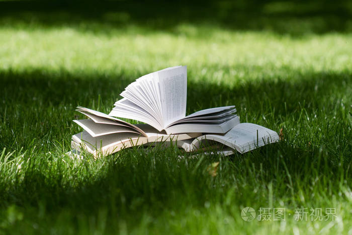 草地上一本翻开的书图片