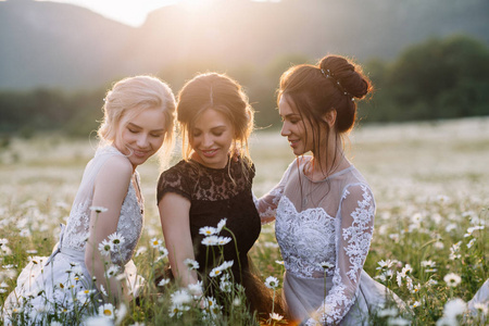 三个漂亮的女孩布鲁内特和金发,棕发女人享受黛西场,漂亮的长裙子