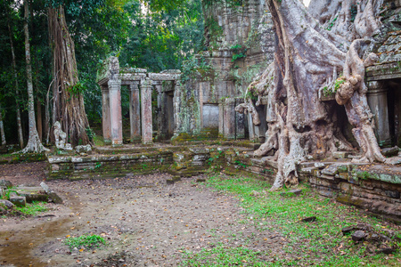 树的根节点，茂盛的古代圣剑寺在 angk 部分