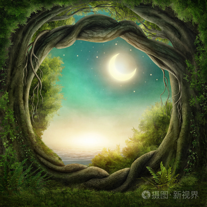 受此结界的黑暗森林