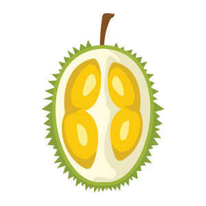 原始图标榴莲设计多汁新鲜水果图标矢量模板.原始的榴莲照片