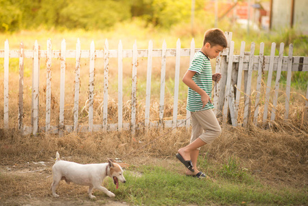 小男孩走出屋外与狗杰克罗素夏季时间