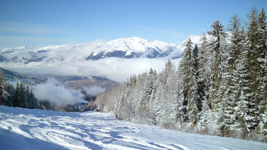 在阿尔卑斯山的冬季度假胜地的滑雪坡上松树林