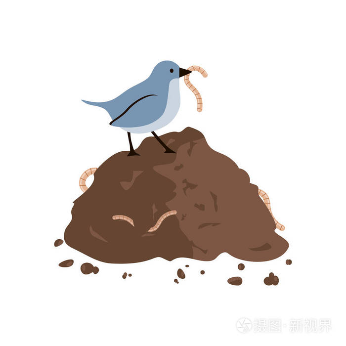 鸟吃虫
