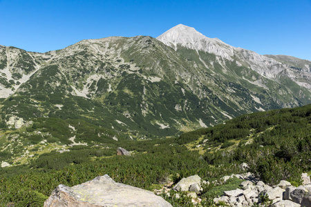 景观与 Hvoynati 和维赫伦峰峰值，皮林山