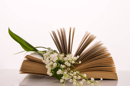 老书和铃兰的花朵上白色黑色孤立