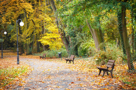 10 月，小径与弛豫台秋季公园