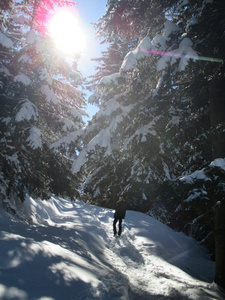 山区森林女人雪中行走着
