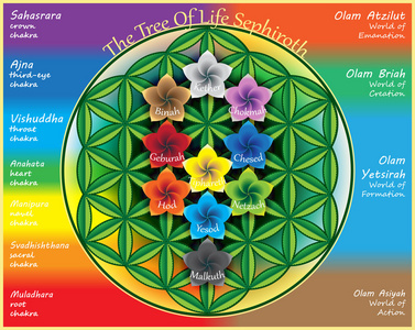 生命之树树画画图片