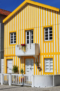 条纹的色房屋 哥斯达黎加新星，贝拉曾提起过，葡萄牙 Eur