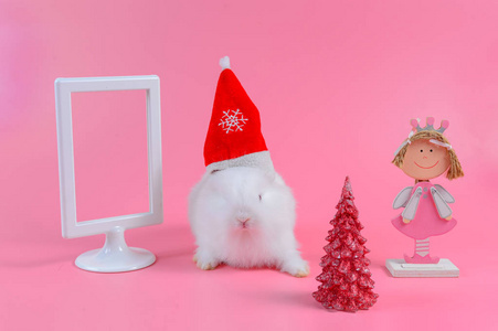 红色的圣诞帽 圣诞树与白色镜框，文本的副本空间只白色的兔子。可爱的兔子戴圣诞老人帽子来说明在粉红色的背景上的圣诞假期。圣诞快乐