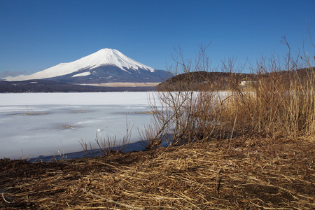 富士山和米霍海