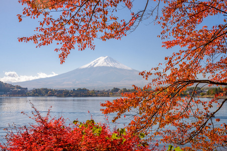 富士山在秋天