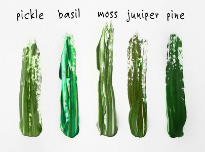 绿色的调色板图片