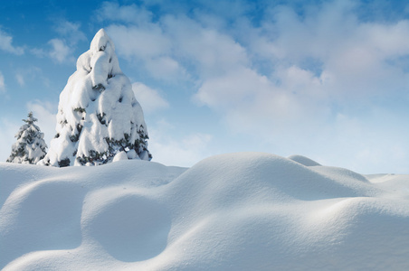 圣诞贺卡雪图片