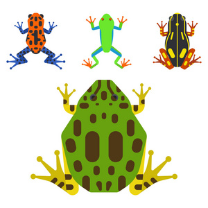 青蛙卡通热带动物卡通两栖类吉祥物字符野生矢量图
